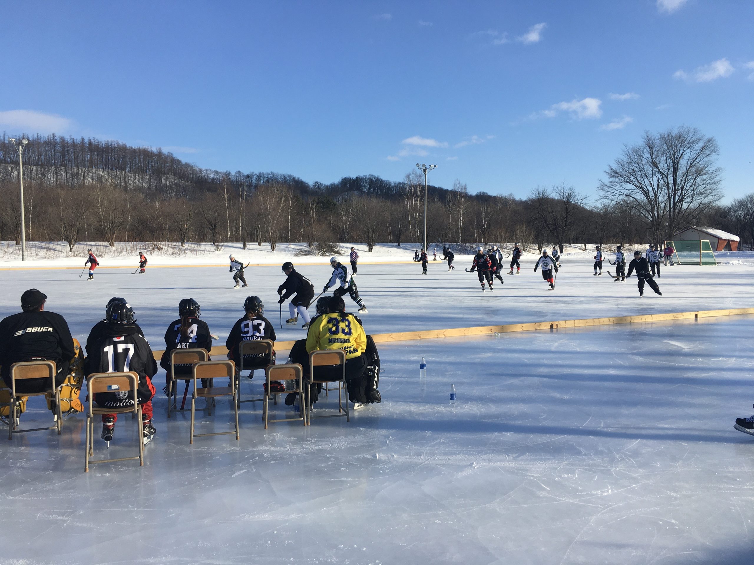 全日本バンディ選手権大会