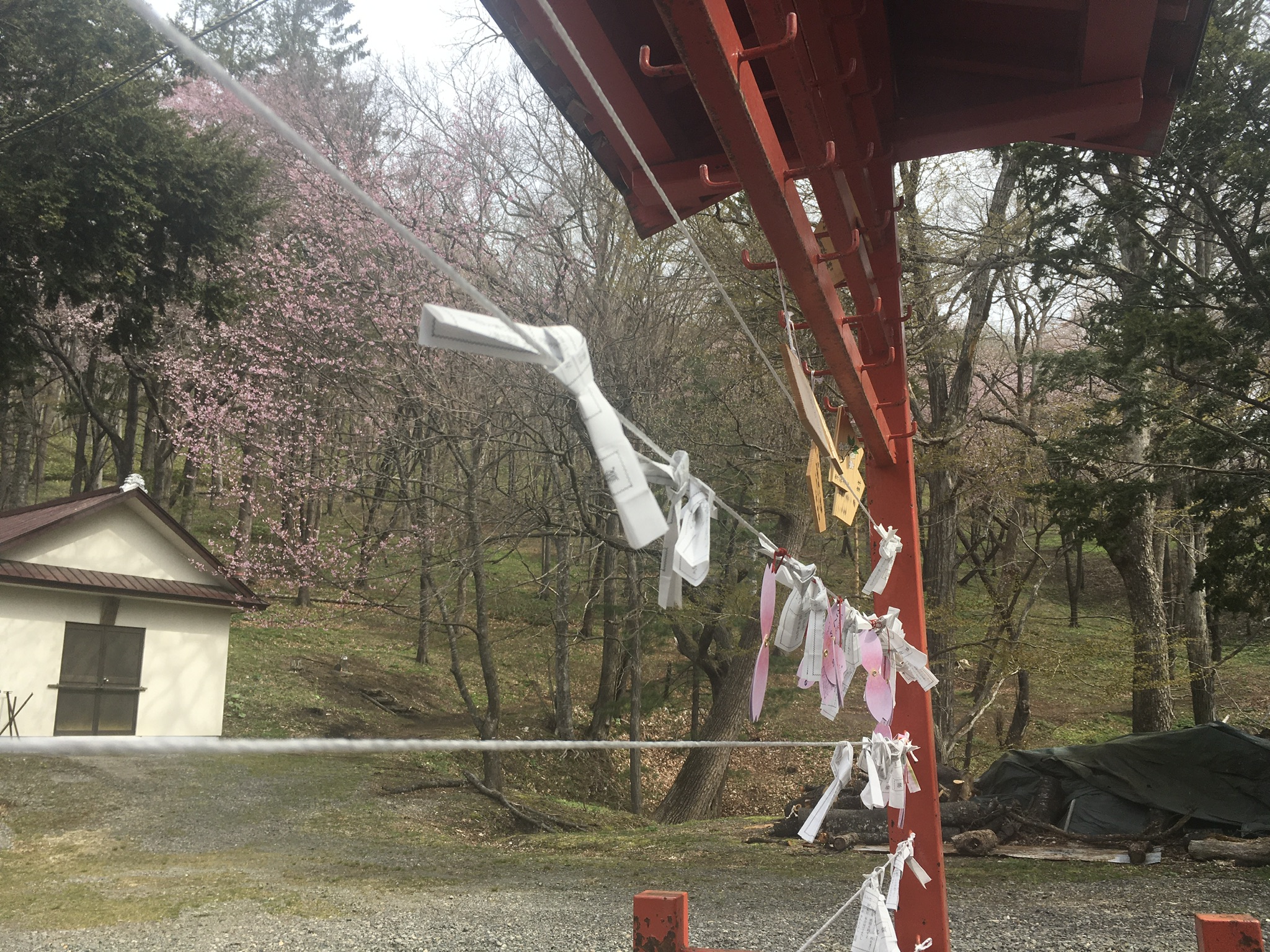 新得神社桜まつり