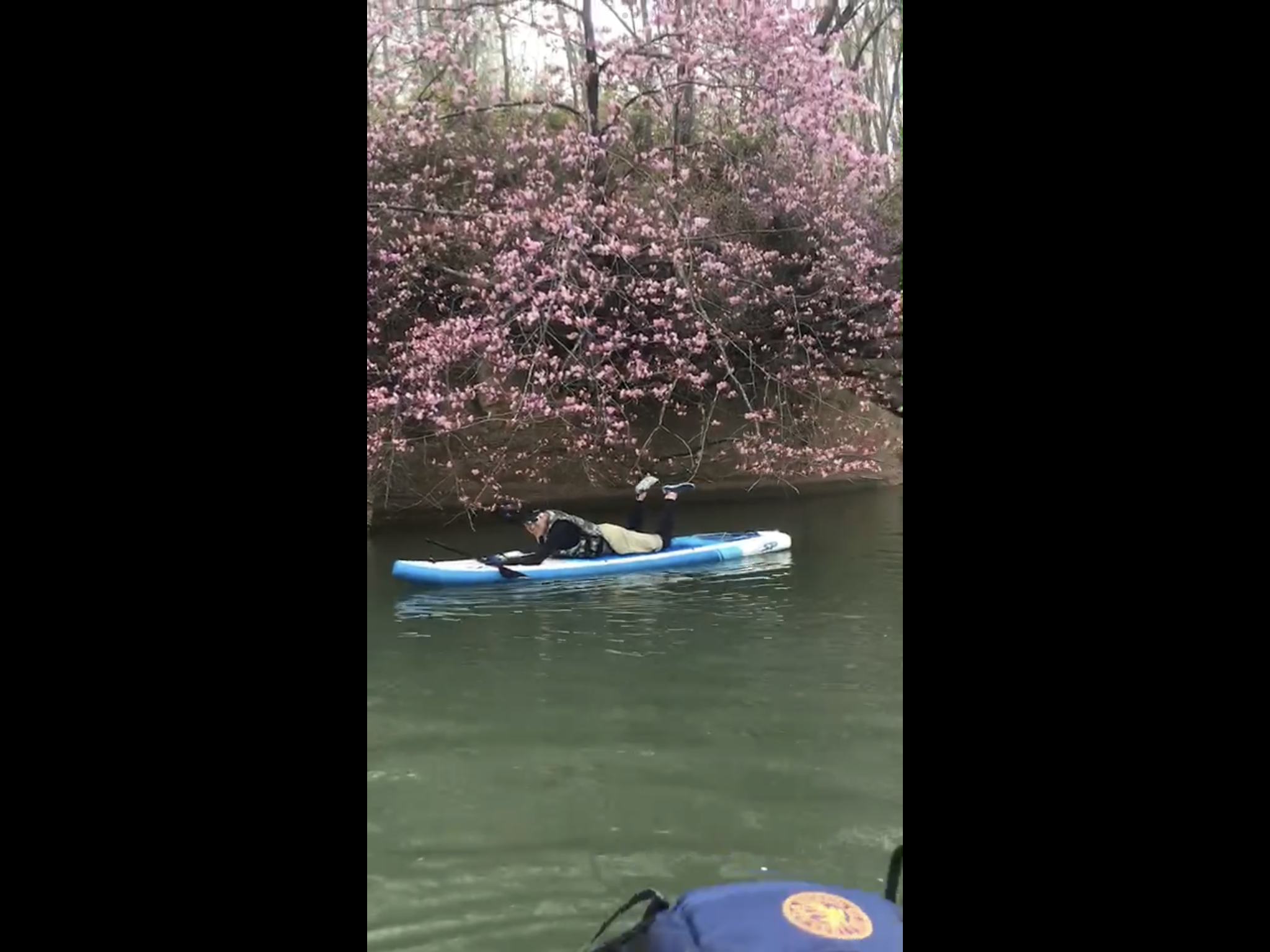 桜SUP